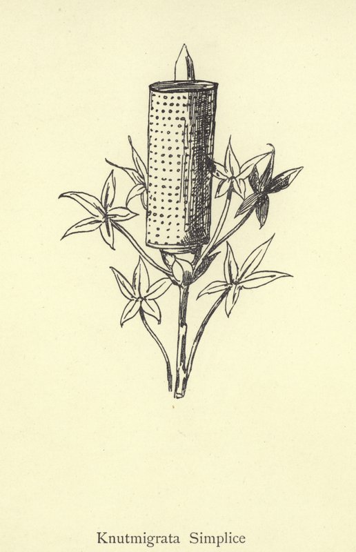 Knutmigrata Basit by Edward Lear
