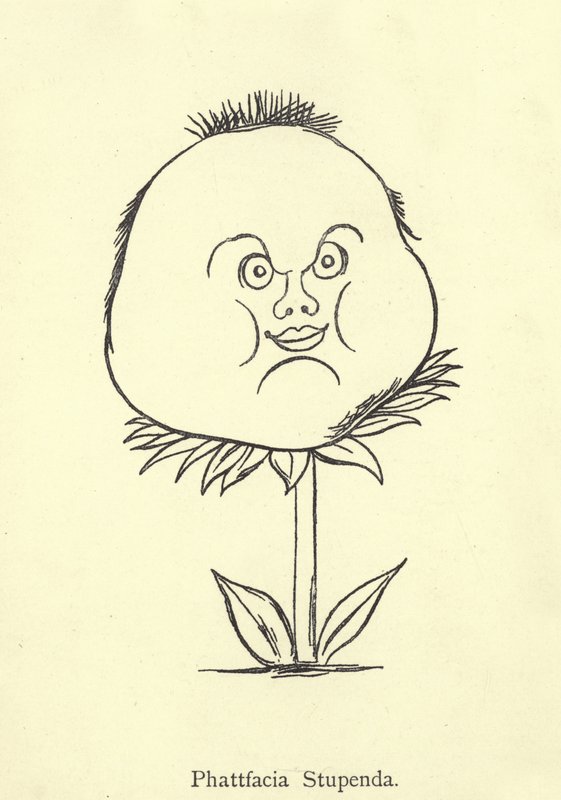 Süper Phattfacia by Edward Lear