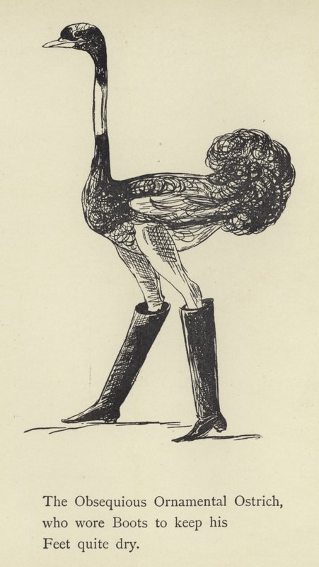 Dikkatli Süs Devekuşu by Edward Lear
