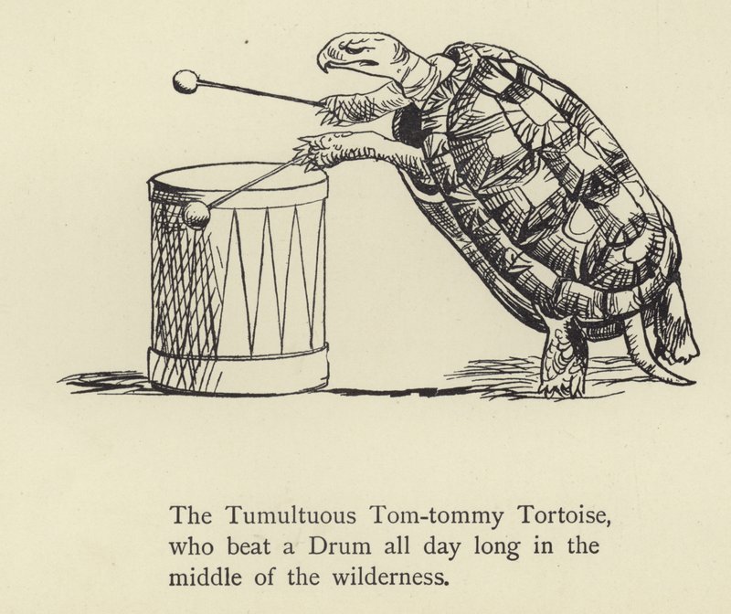 The Tumultuous Tom-tommy Tortoise  by Edward Lear