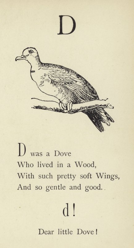 D harfi by Edward Lear