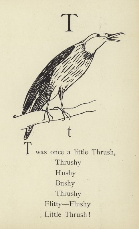 T harfi by Edward Lear
