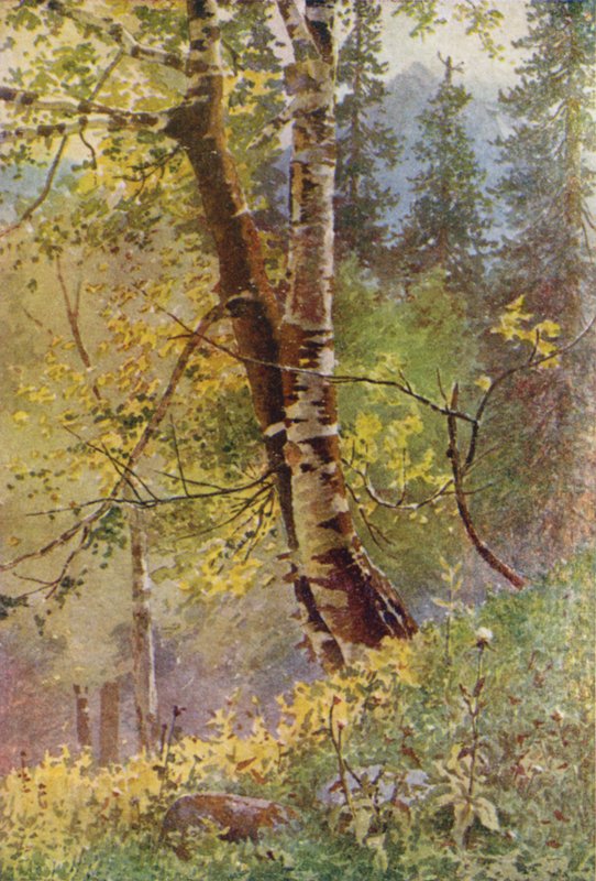 In the Forest  by Edward Mary Joseph Molyneux
