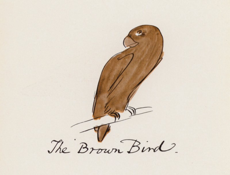 Edward Lear, Kuş Kitabı: Kahverengi Kuş (renkli taş) by Edward (after) Lear