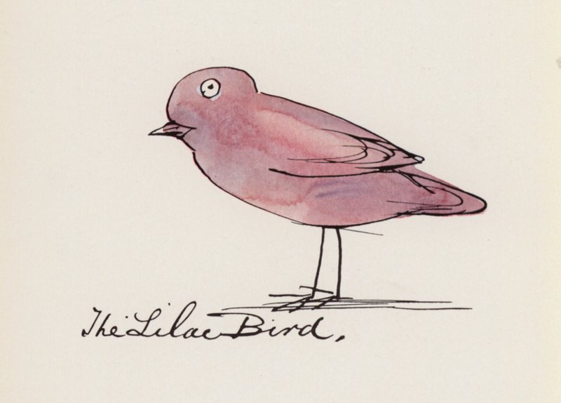 Edward Lear, Kuş Kitabı: Leylak Kuşu (renkli taş) by Edward (after) Lear