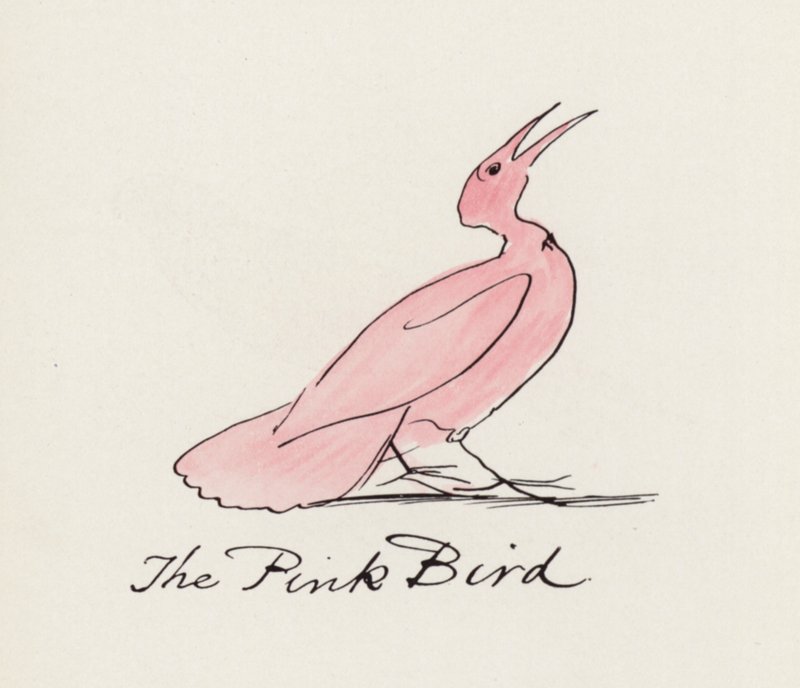 Edward Lear, Kuş Kitabı: Pembe Kuş (renkli taş) by Edward (after) Lear