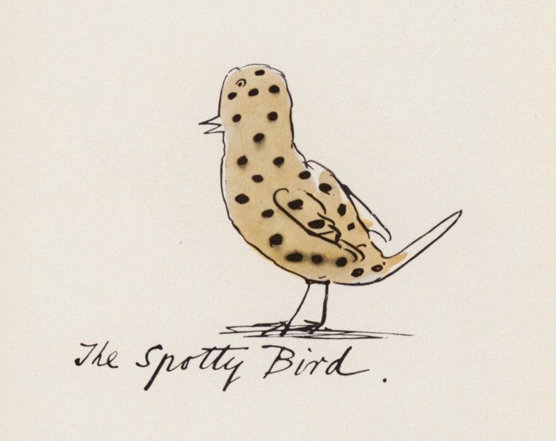 Edward Lear, Kuş Kitabı: Sivilceli Kuş (renkli taş) by Edward (after) Lear