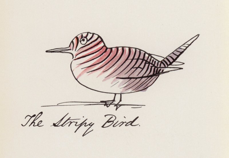 Edward Lear, Kuş Kitabı: Çizgili Kuş (renkli taş) by Edward (after) Lear