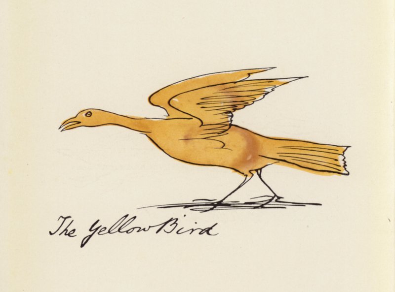 Edward Lear, Kuş Kitabı: Sarı Kuş (renkli taş) by Edward (after) Lear
