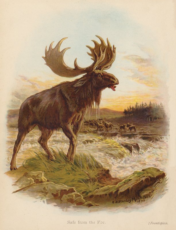  by Edward Brice Montefiore