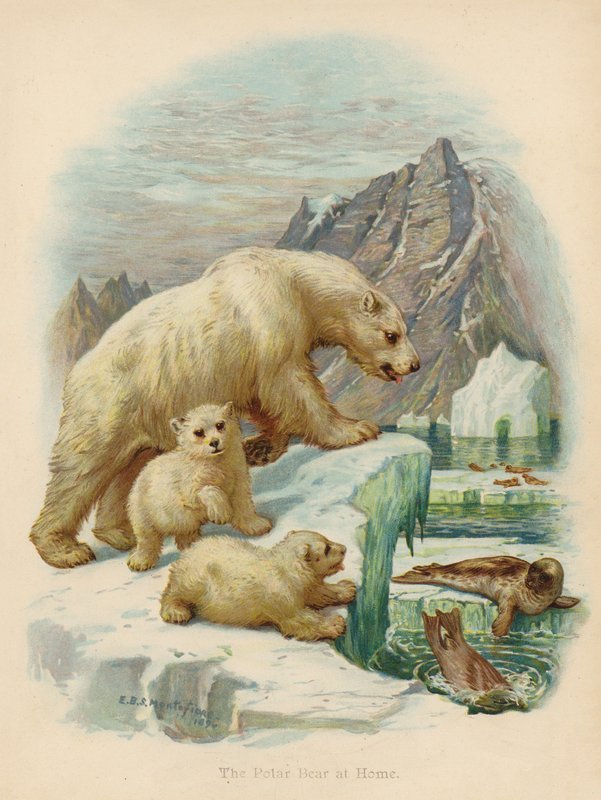  by Edward Brice Montefiore