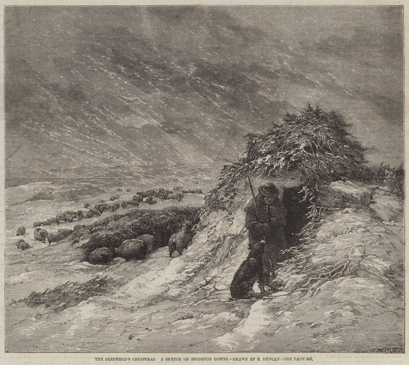 Çobanın Noeli, Brighton Downs Üzerine Bir Eskiz by Edward Duncan