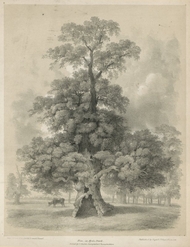 Hyde Park, Londra