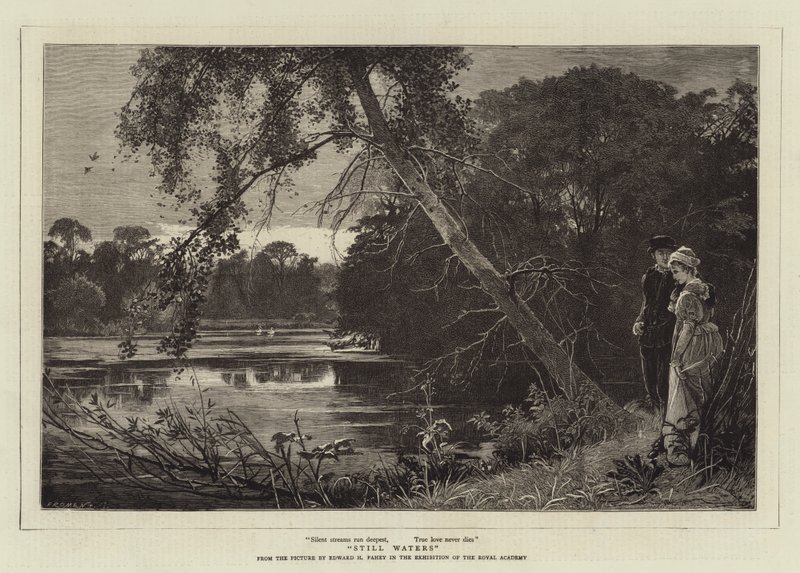 ಸ್ಟಿಲ್ ವಾಟರ್ಸ್ ಟರ್ಕ್ by Edward Henry Fahey