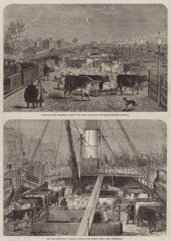 Noel Pazarı için Sığır by Edward Hull