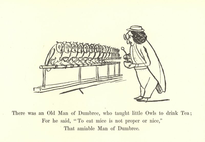 There was an Old Man of Dumbree, who taught little Owls to drink Tea  by Edward Lear