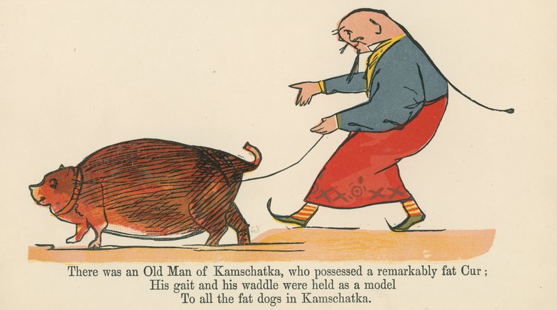Ifatwa rya Bwana C S Parnell, umudepite, muri Hotel ya Morrison, i Dublin by Edward Lear