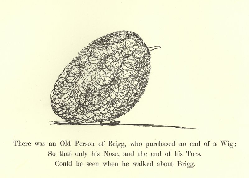 There was an Old Person of Brigg, who purchased no end of a Wig  by Edward Lear