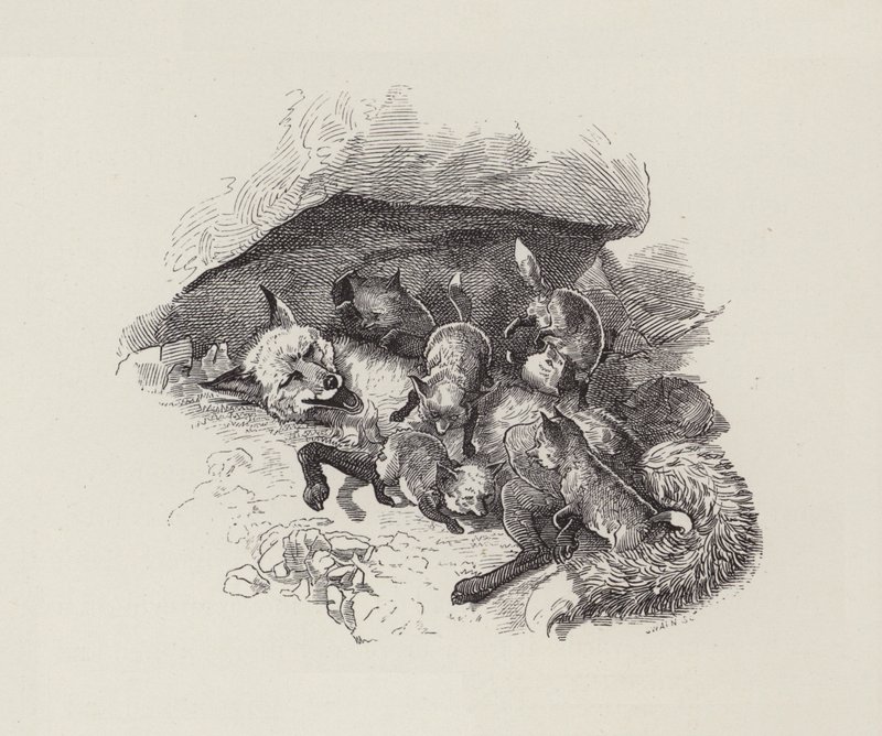 Charles Kingsley