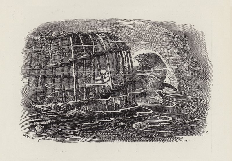 Charles Kingsley