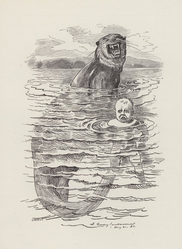 Charles Kingsley'nin Su Bebekleri için illüstrasyonu (gravür) by Edward Linley (after) Sambourne