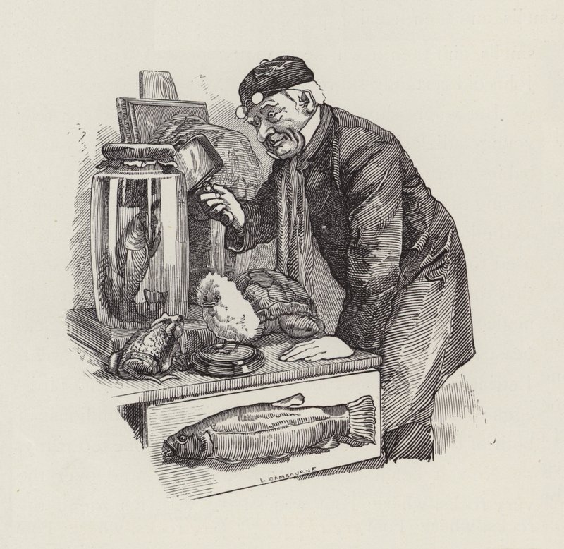 Charles Kingsley