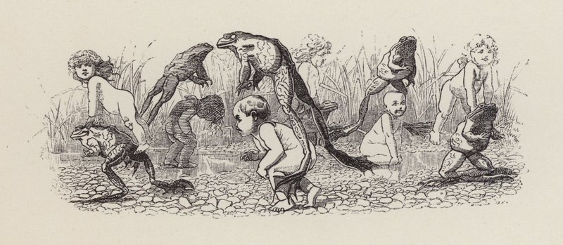 Charles Kingsley