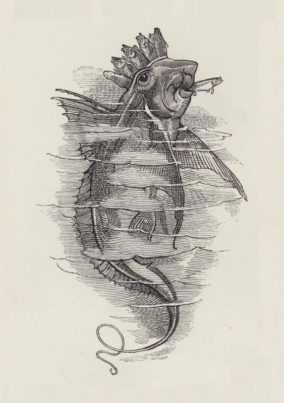 Charles Kingsley