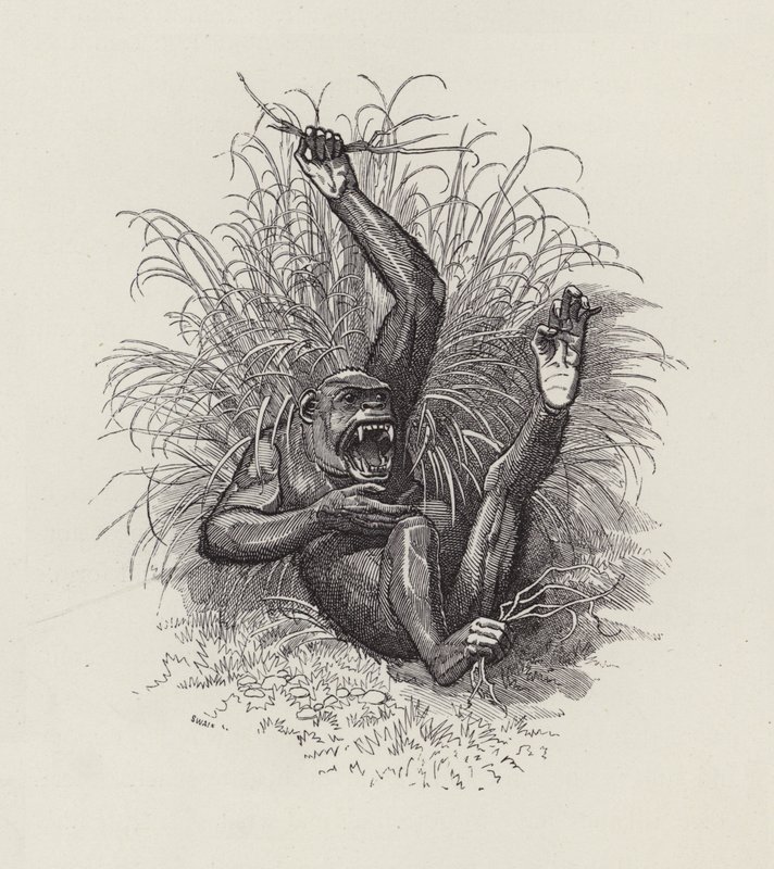 Charles Kingsley