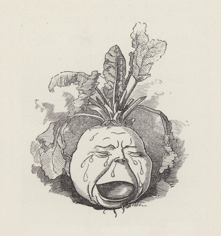 Charles Kingsley