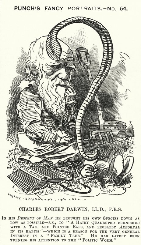 Punch karikatür: Charles Darwin, İngiliz doğa bilimci ve biyolog (gravür) by Edward Linley (after) Sambourne