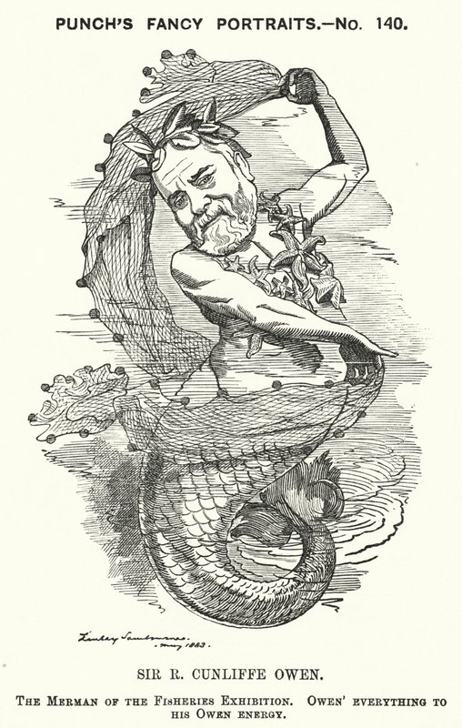 Punch karikatür: Philip Cunliffe-Owen, İngiliz sergi organizatörü ve South Kensington Müzesi Direktörü, Londra (gravür) by Edward Linley (after) Sambourne