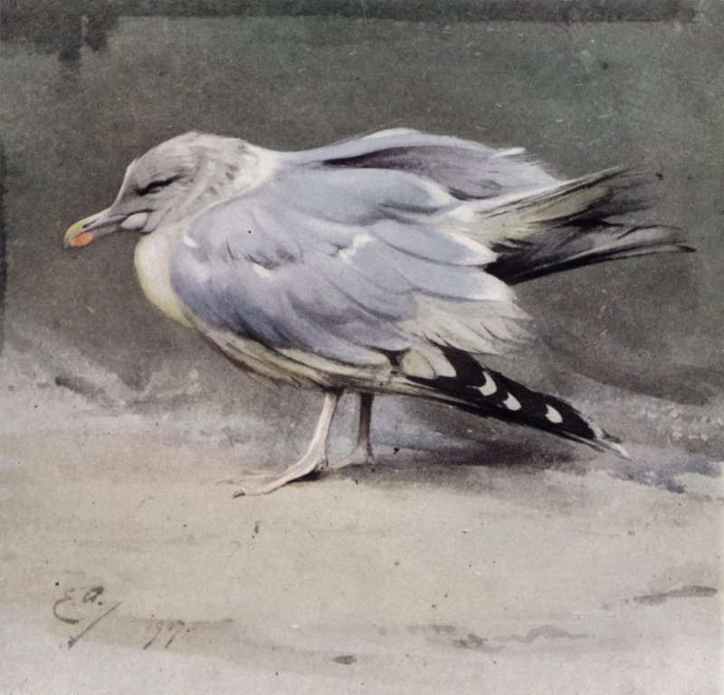 3 Mayıs 1808 (kromolitho) by Edwin John Alexander
