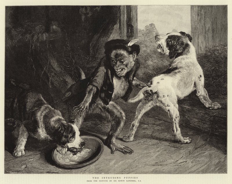 izinsiz köpek yavruları by Edwin Landseer