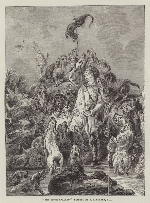 su samuru Mızraklı by Edwin Landseer