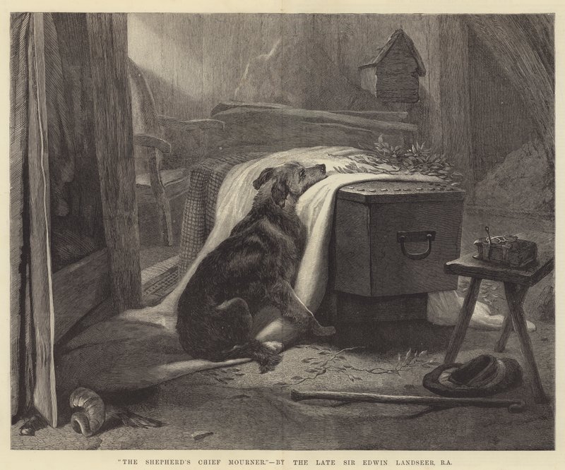 Çobanın Baş Yaslısı by Edwin Landseer
