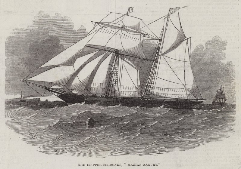 Clipper Schooner, Marin Zagury by Edwin Weedon