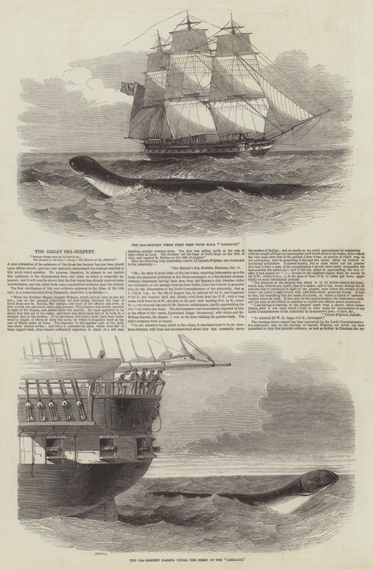 Büyük Deniz Yılanı by Edwin Weedon