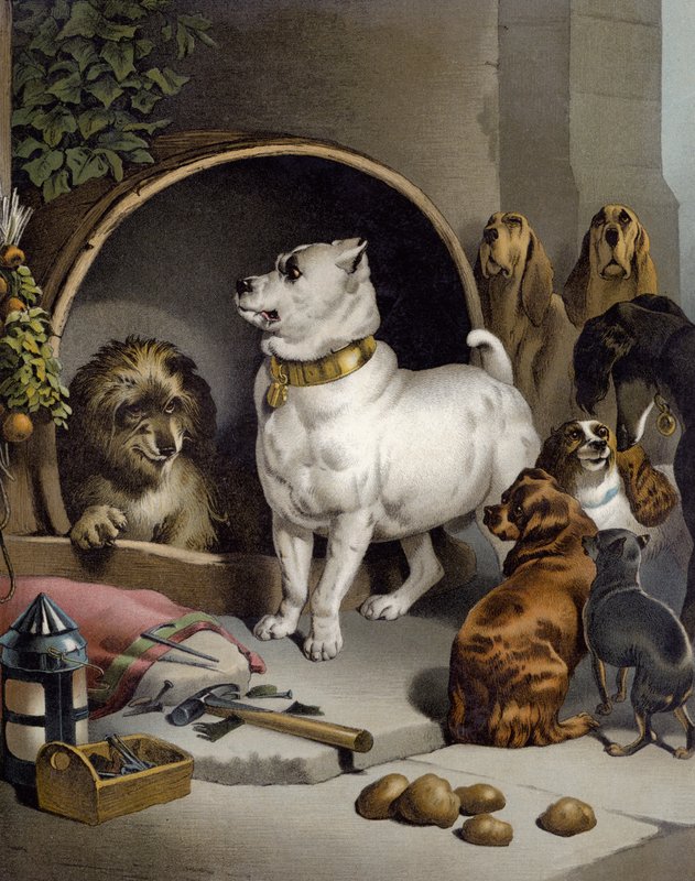Batare yo mu Budage Hussar munsi yumuriro wumwanzi by Edwin after Landseer