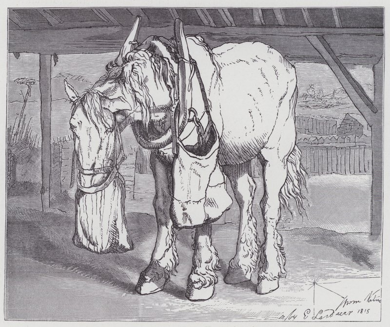 bir araba atı by Edwin (after) Landseer