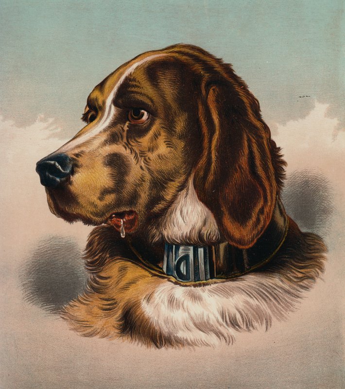  by Edwin (after) Landseer
