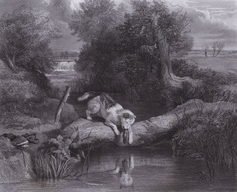 Köpek ve Gölge (gravür) by Edwin (after) Landseer