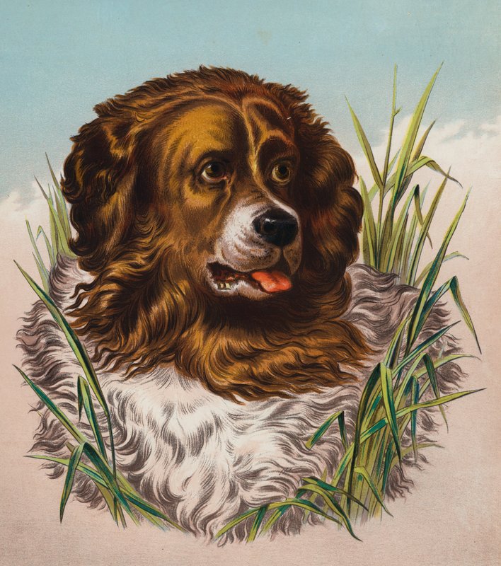  by Edwin (after) Landseer