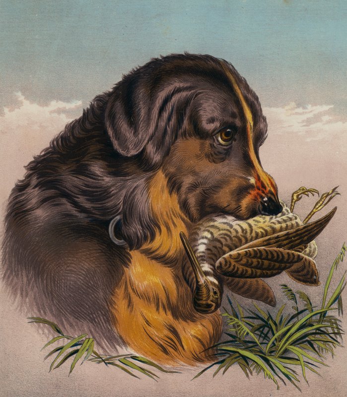  by Edwin (after) Landseer