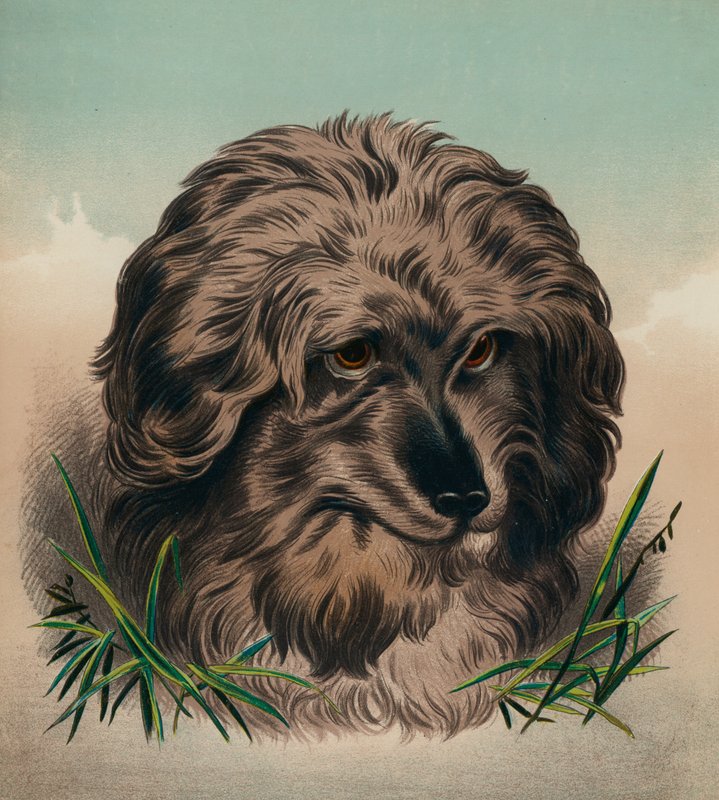  by Edwin (after) Landseer