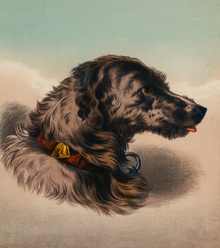  by Edwin (after) Landseer