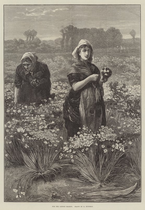 Londra Pazarı için (gravür) by Edwin Buckman