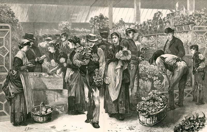 Çiçek pazarı, Covent Garden, Londra by Edwin Buckman