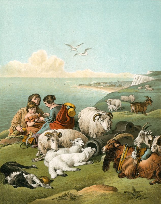 Beyaz kayalıklarda koyun ve keçilerle oynayan çocuklar by Edwin Landseer