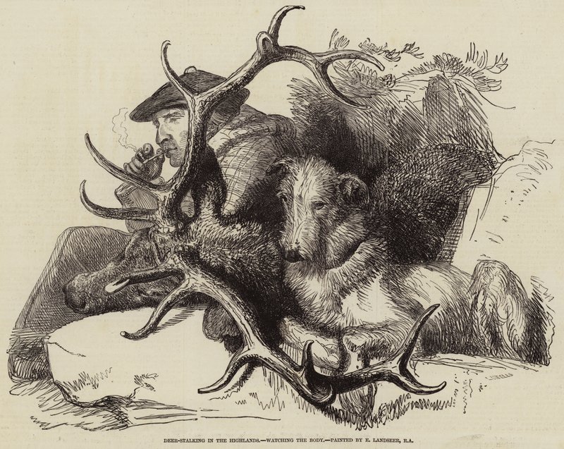 Yaylalarda Geyik Avcılığı, Cesedi İzlemek by Edwin Landseer
